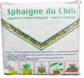 Sphaigne du chili  5 Kg